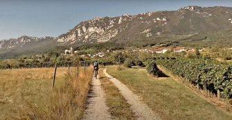 Video sredica, Slovenija