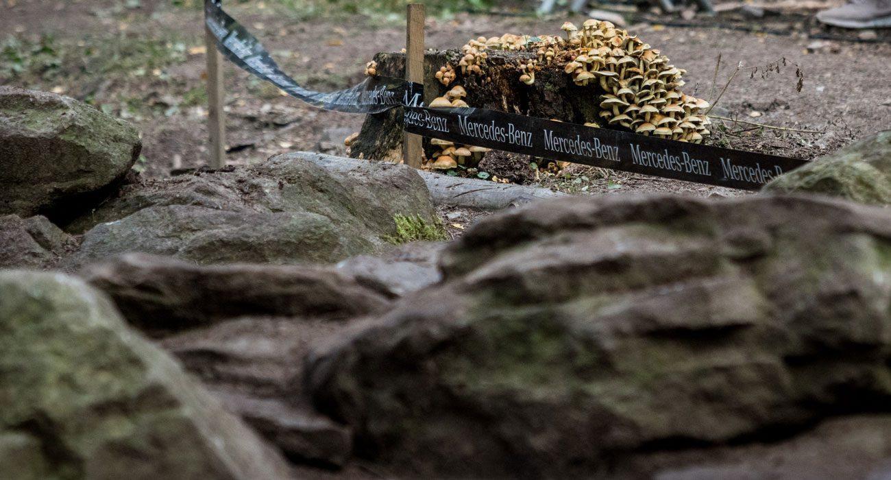 Nove Mesto, svetovni pokal