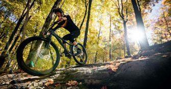 Devinci Kobain