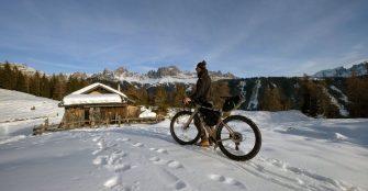 Dolomiti