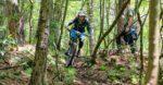 sloenduro borovci