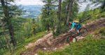 ews petzen jamnica