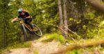 Trek Fuel EX