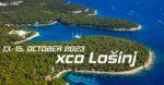 Mednarodne dirkaške, Lošinj