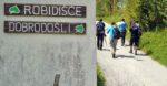 robidišče