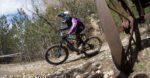 sloenduro kamplc