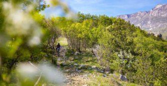 sloenduro kamplc ajdovščina