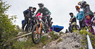 nejc huth, sloenduro borovci