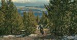Jesmond Peak, Miranda Miller