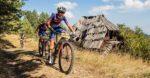 Wild Bear Stage Race