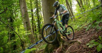sloenduro cilenca
