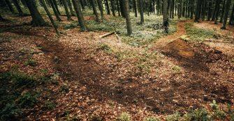 loam lane, bike park pohorje