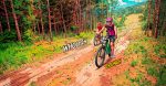 green karst trail