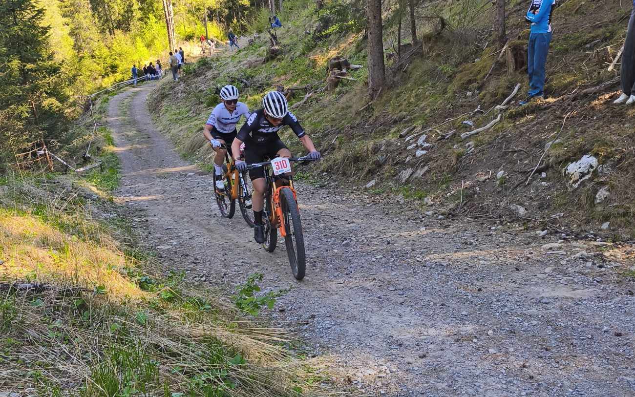 vita movrin, anne tauber