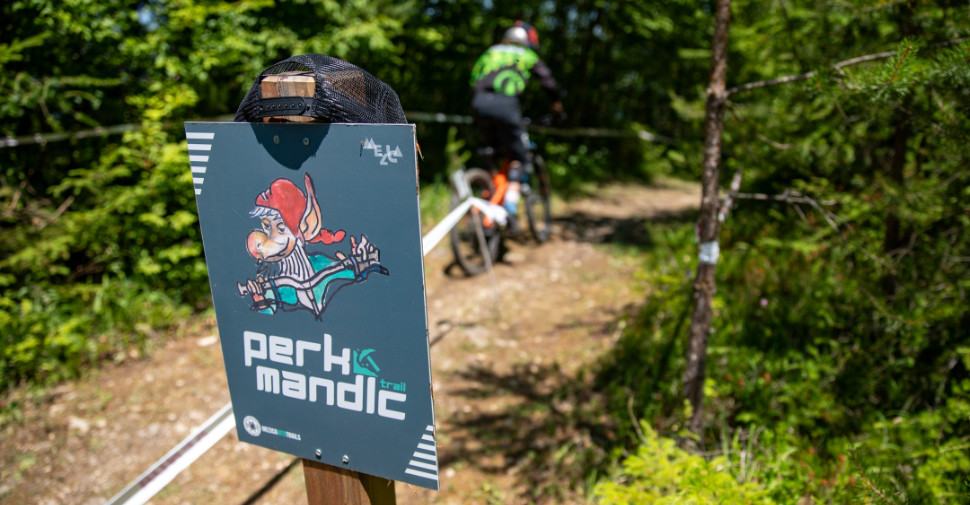 sloenduro kamplc
