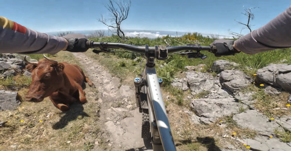 madeira, mtb holidays