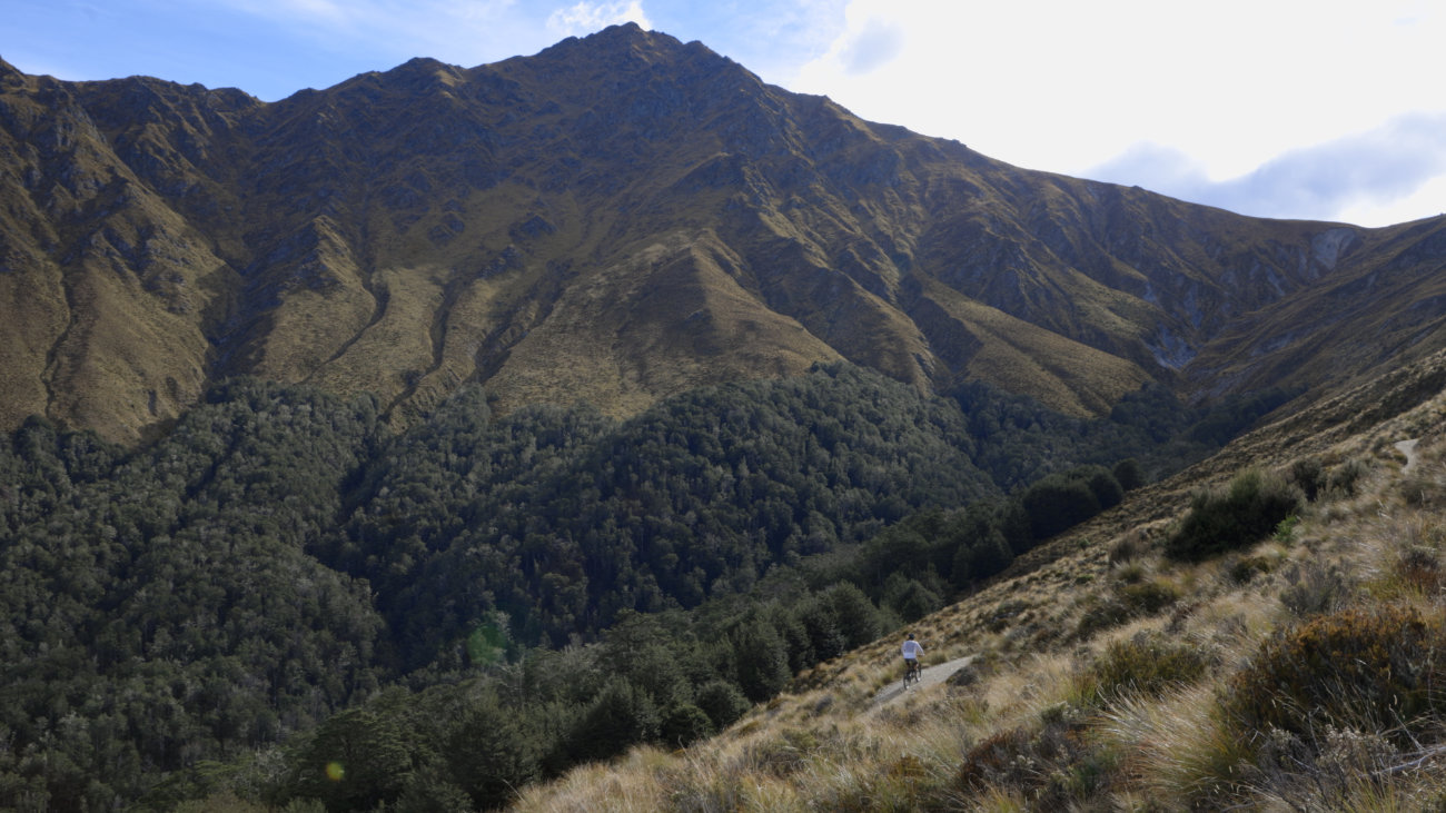 ben lomond postcards, tadej strah